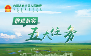 推進(jìn)落實(shí)五大任務(wù)